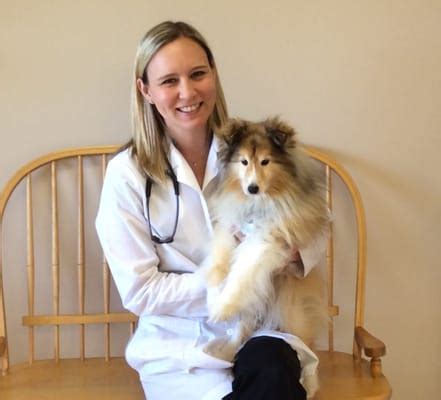 Court street animal hospital - Dr. Sarah Stetson grew up on the North Shore of Massachusetts. She graduated from the Tufts University Cummings School of Veterinary Medicine in 2001. 